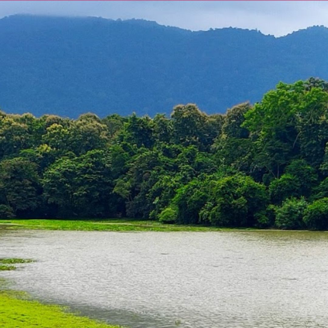 Safari de Tigre à Bandhavgarh en Inde