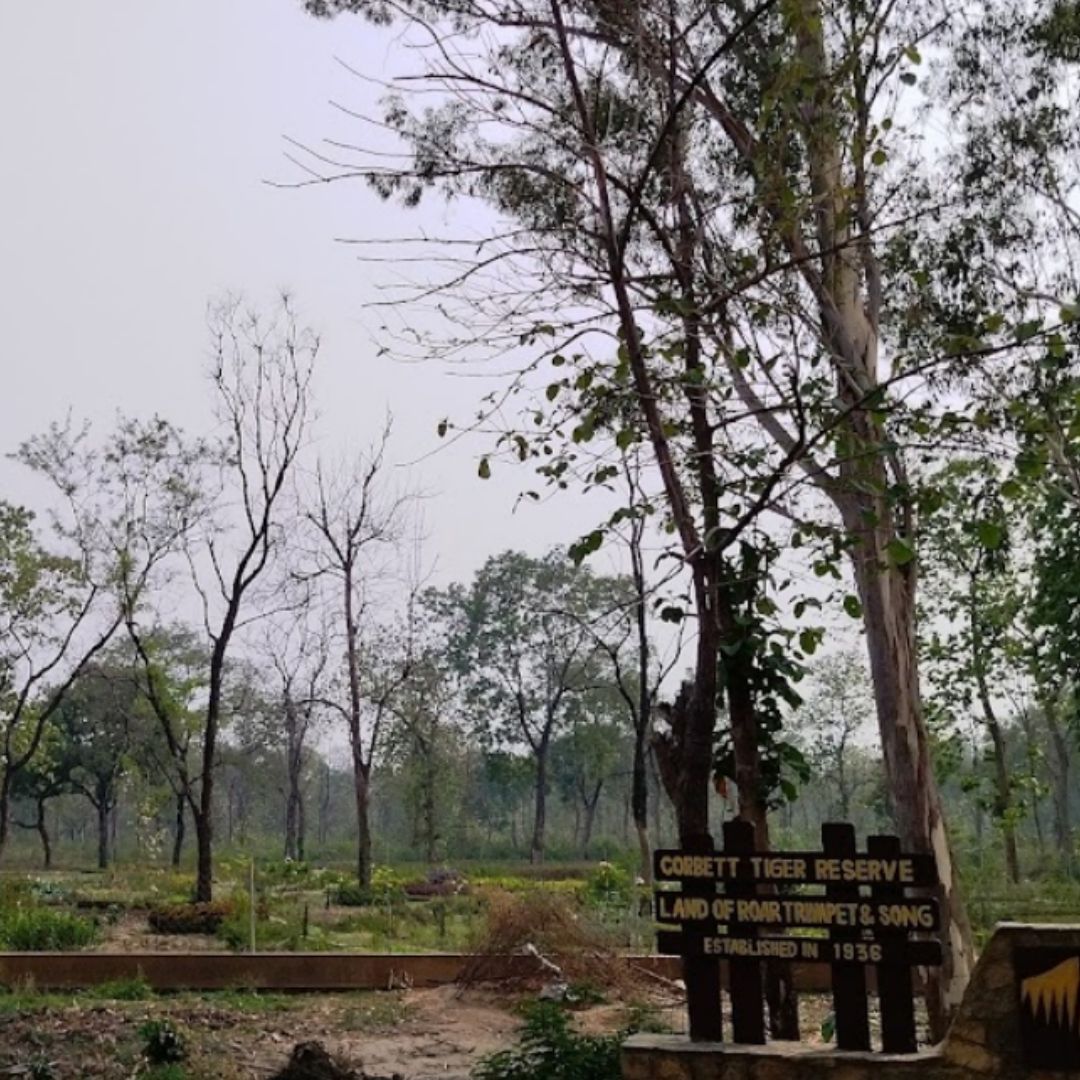 Parc National De Bandipur