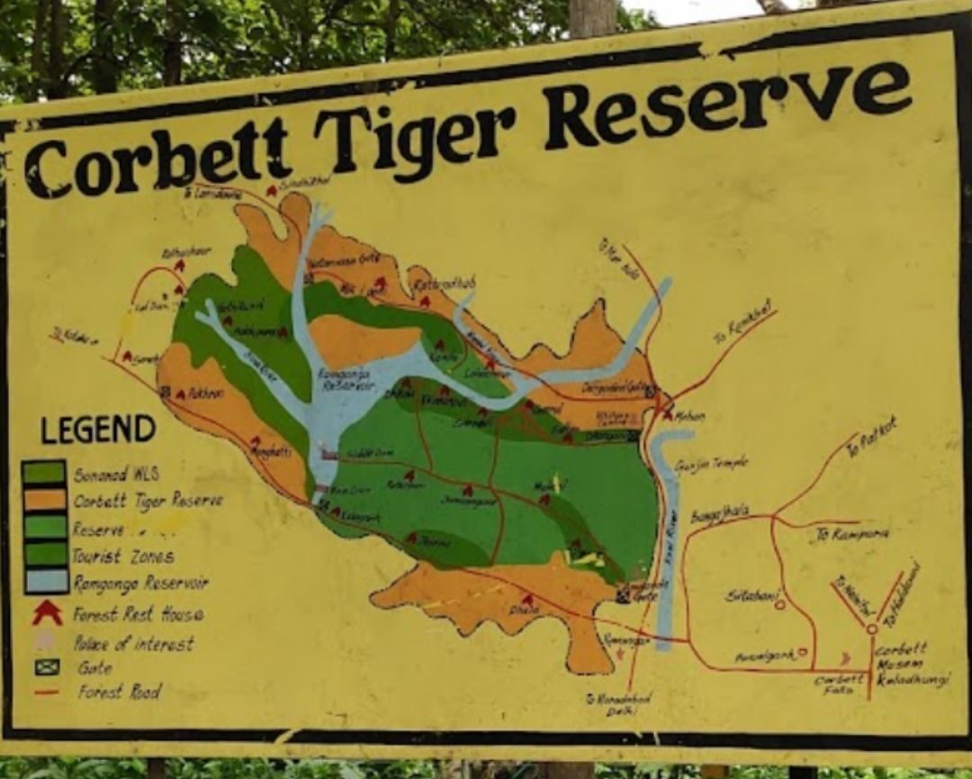 Parc National de Jim Corbett