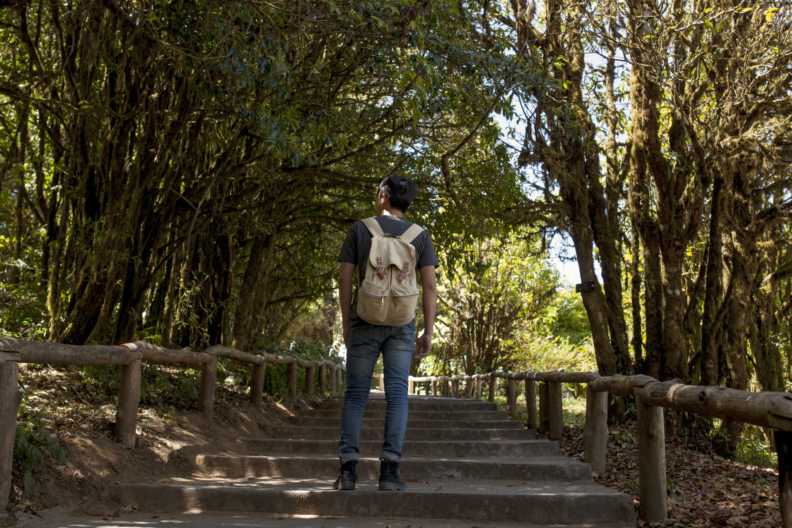 Promenade Dans La Nature