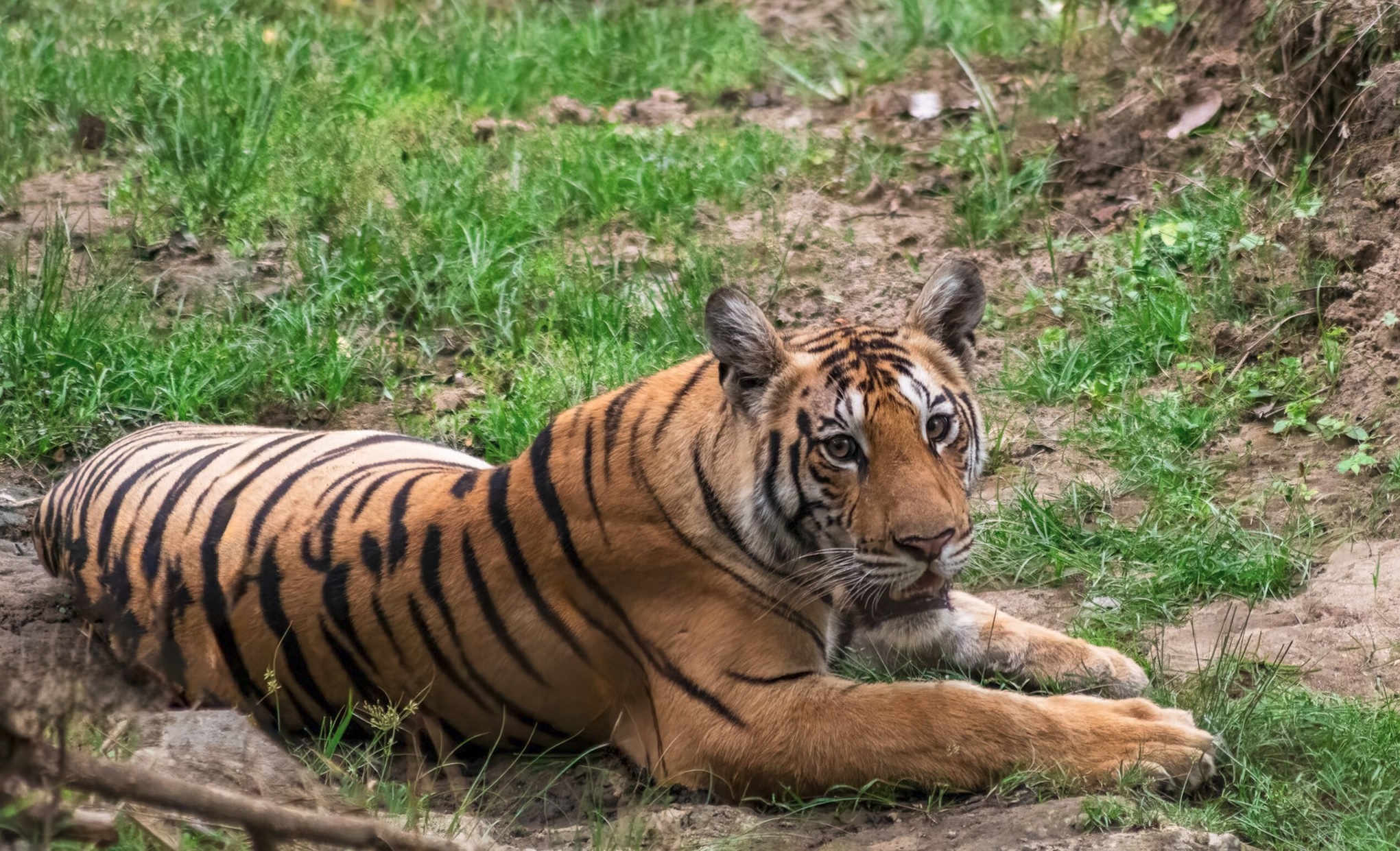 Parc national de Pench