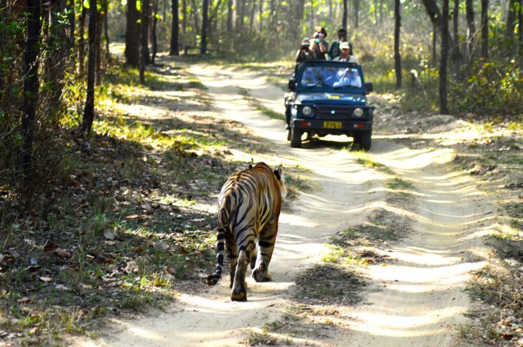 Superbes Lodges De Safari En Inde Du Nord