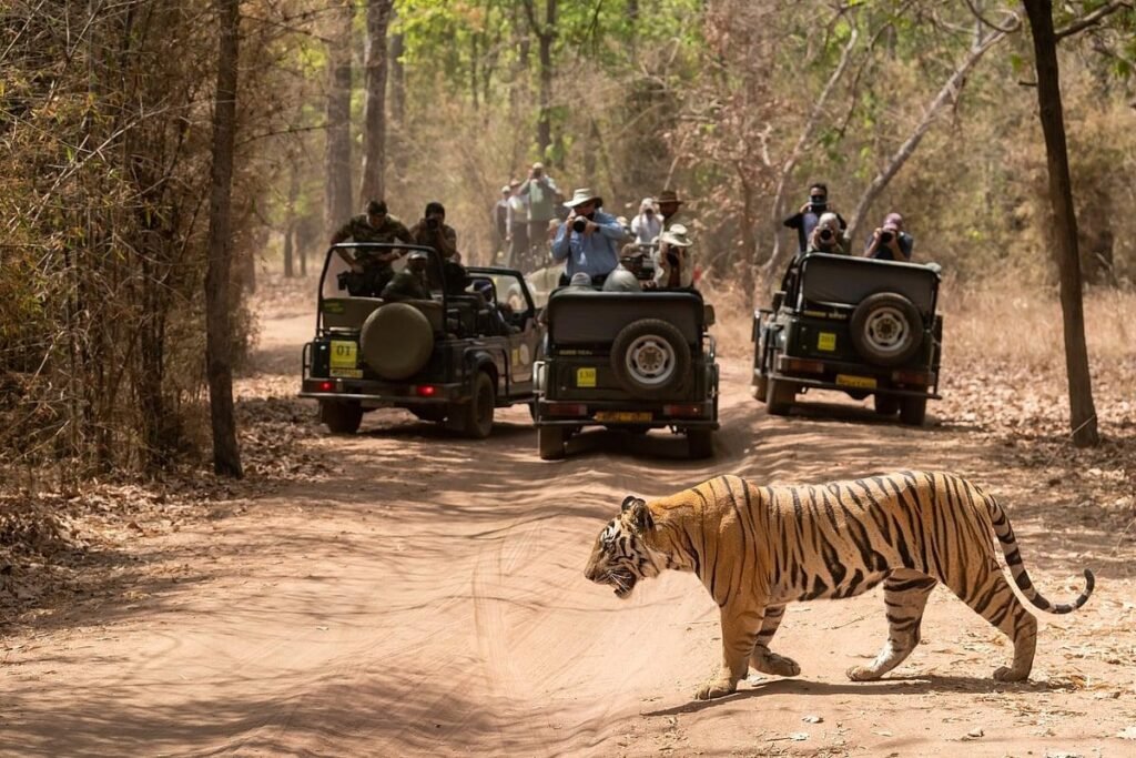 6 Lieux Exceptionnel Pour Observer La Faune En Inde