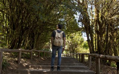 Promenade Dans La Nature